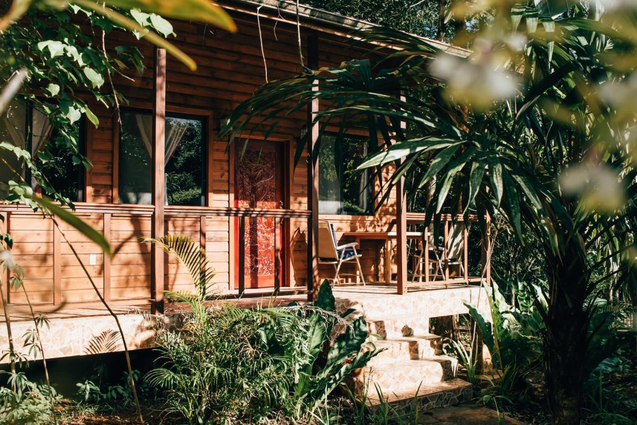 Mariposa Jungle Lodge ซานอิกนาซิโอ ภายนอก รูปภาพ