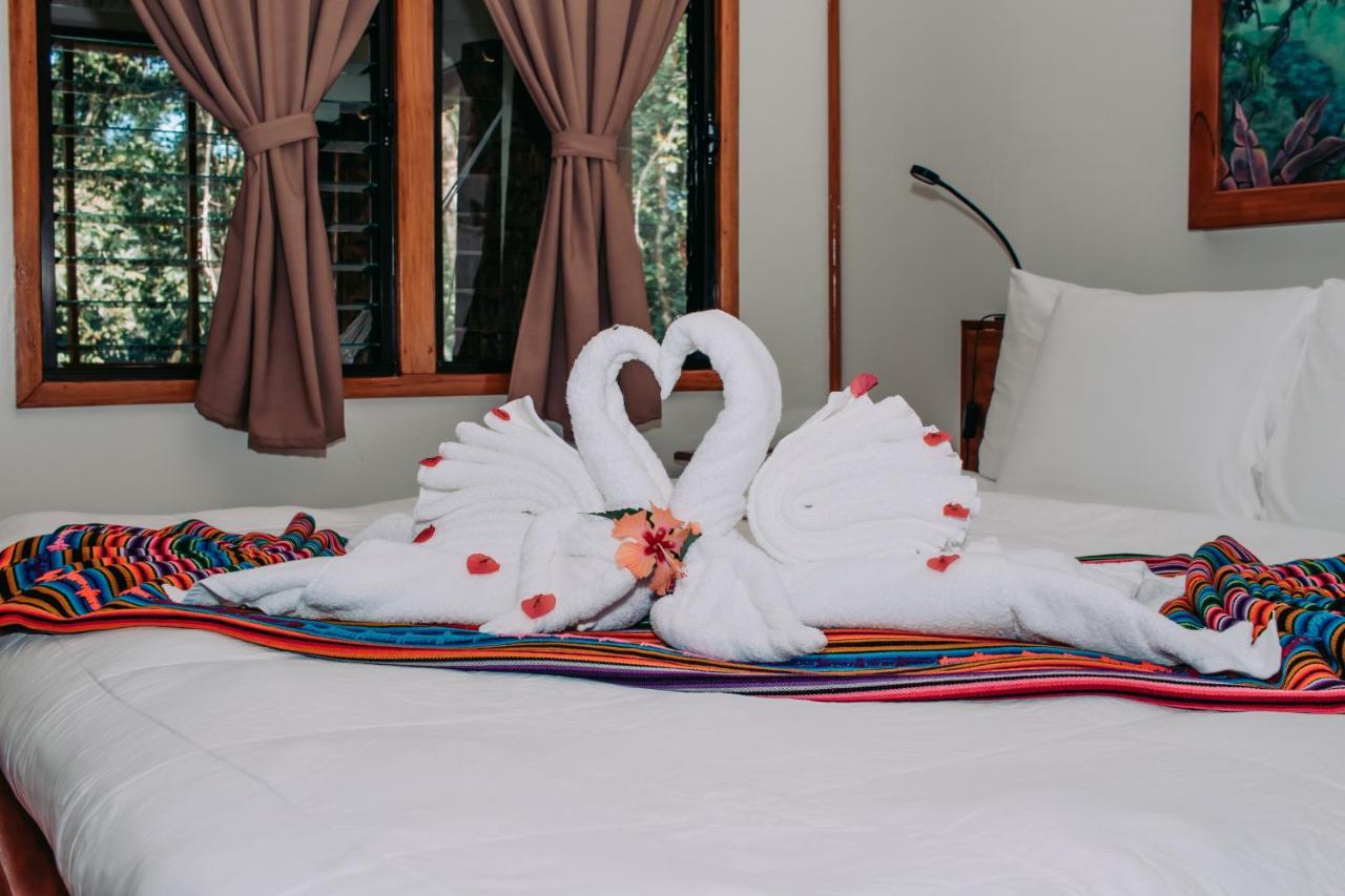 Mariposa Jungle Lodge ซานอิกนาซิโอ ภายนอก รูปภาพ