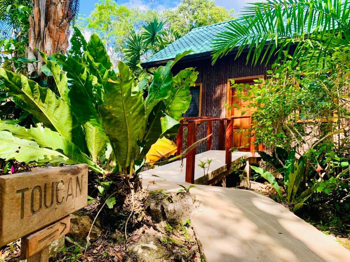 Mariposa Jungle Lodge ซานอิกนาซิโอ ภายนอก รูปภาพ