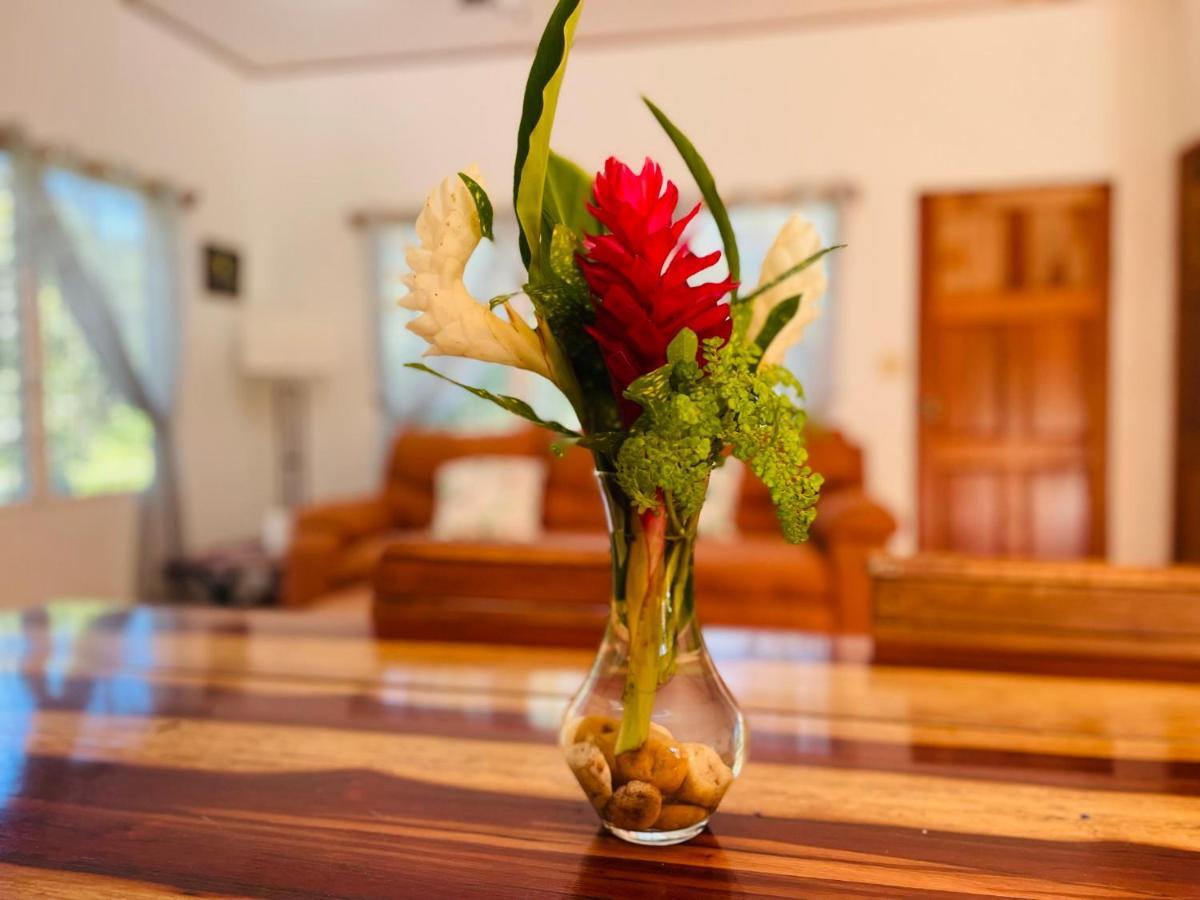 Mariposa Jungle Lodge ซานอิกนาซิโอ ภายนอก รูปภาพ