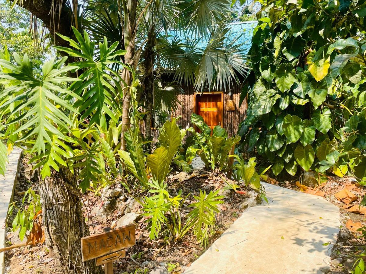 Mariposa Jungle Lodge ซานอิกนาซิโอ ภายนอก รูปภาพ