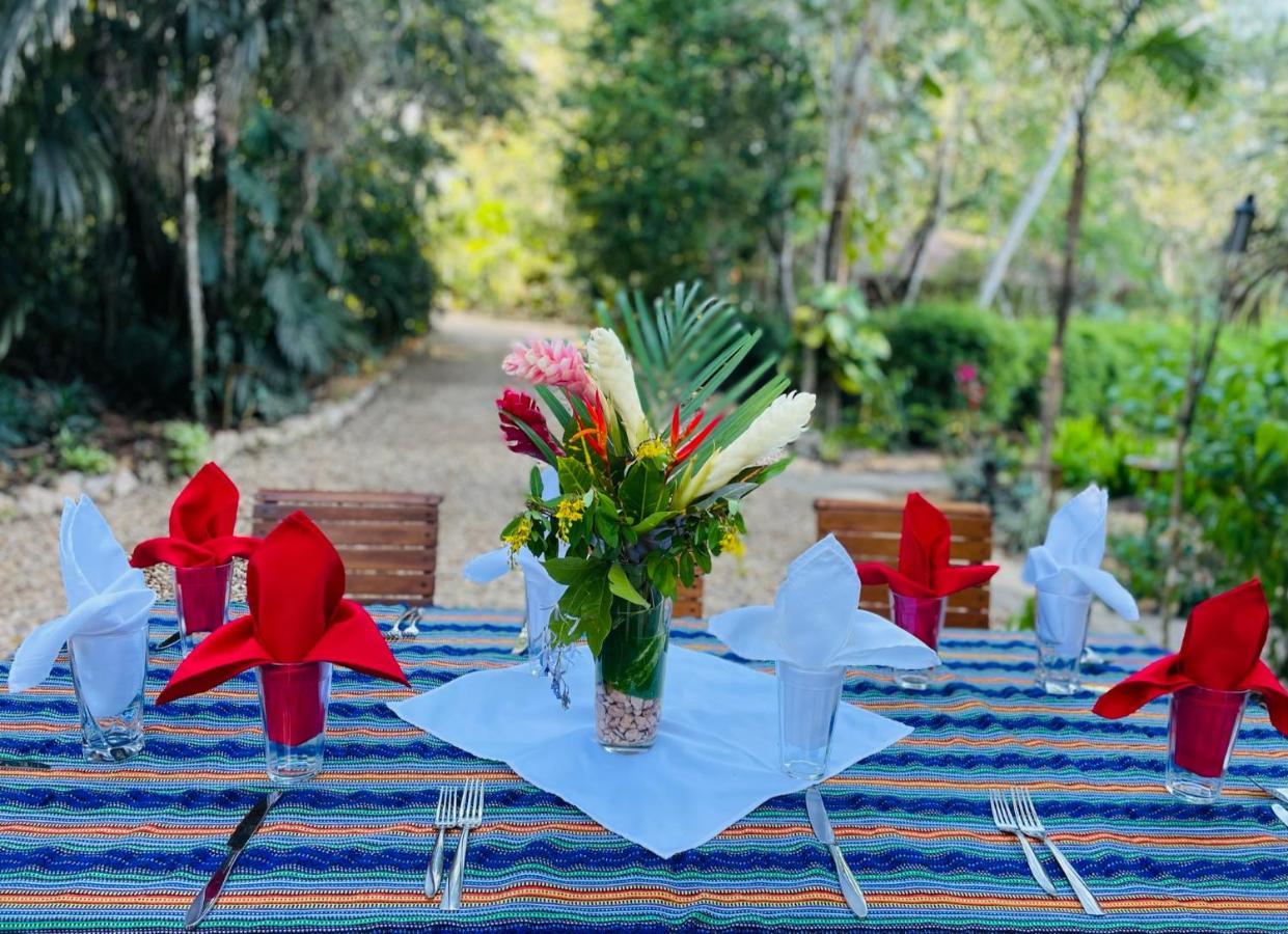 Mariposa Jungle Lodge ซานอิกนาซิโอ ภายนอก รูปภาพ