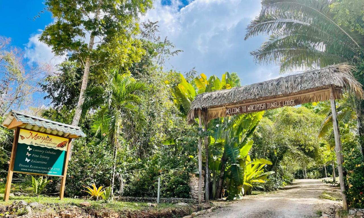 Mariposa Jungle Lodge ซานอิกนาซิโอ ภายนอก รูปภาพ