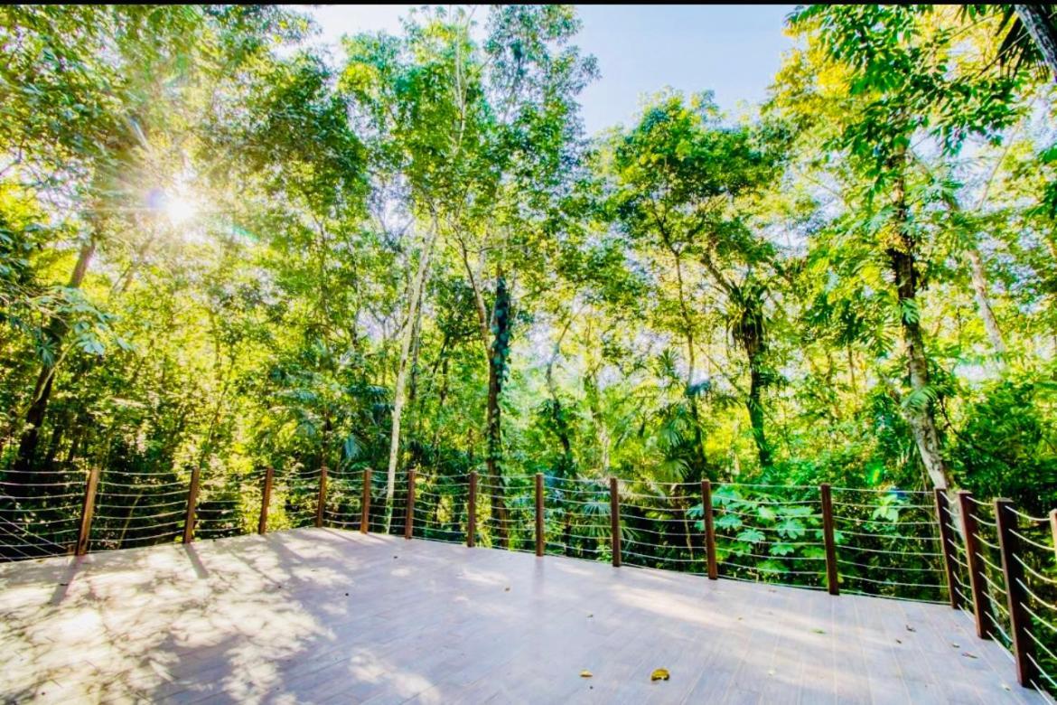Mariposa Jungle Lodge ซานอิกนาซิโอ ภายนอก รูปภาพ